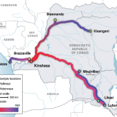 Sida : itinéraire d’une pandémie