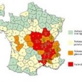 Haro sur l’ambroisie !