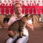 Voir la vidéo de Chats racés, les dangers de la pureté