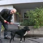 Voir la vidéo de Les dessous de la promenade du chien 