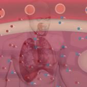 Voir la vidéo de La respiration comme vous ne l'avez jamais vue