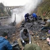 Explosion cambrienne : un site chinois riche en espèces inconnues