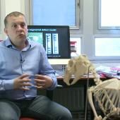 Voir la vidéo de Comprendre la réparation osseuse / Hervé Petite