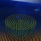 Des neutrinos sous l’eau 