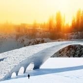 Léonard de Vinci dans la glace