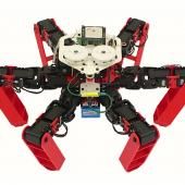 Voir la vidéo de Un robot à pattes sans GPS