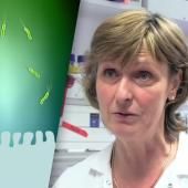 Voir la vidéo de Helicobacter pylori : une bactérie à l&#039;origine des cancers gastriques | Hilde de Reuse
