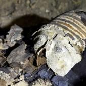 Un sarcophage égyptien ouvert en direct à la télévision