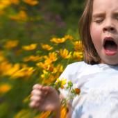 Voir la vidéo de Allergies : le printemps est de retour !