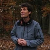 Voir la vidéo de Le bois de Vincennes