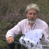 Voir la vidéo de Connaître les insectes