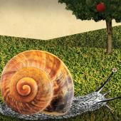 Voir la vidéo de Les escargots font-ils des maths ?