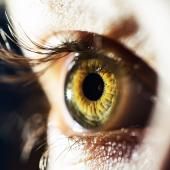 Le monde de l’autisme : les perceptions