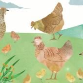 Voir la vidéo de À l'école des animaux