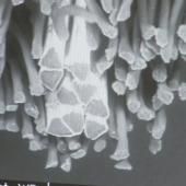 Voir la vidéo de L&#039;intelligence textile
