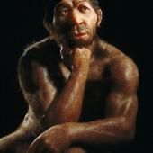 Disparition de Neandertal : un problème de fertilité ?