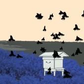 Voir la vidéo de L&#039;étrange silence des abeilles