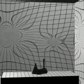 Voir la vidéo de L&#039;histoire controversée du test ADN