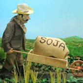 Voir la vidéo de Soja et dépeuplement