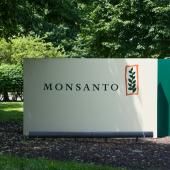 Fichage présumé pour Monsanto : plaintes de personnalités et de médias 