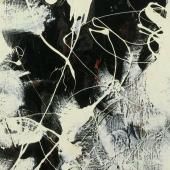 Voir la vidéo de Pollock et les vertèbres