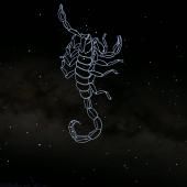 Voir la vidéo de Le Scorpion sous les Tropiques