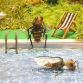 Voir la vidéo de Holiday bee
