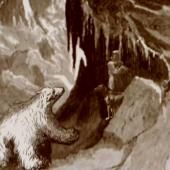 Voir la vidéo de Dans les glaces