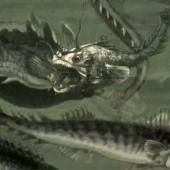 Voir la vidéo de Sous les mers