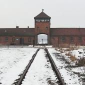 Voir la vidéo de Ludvik Fleck : typhus contre Wehrmacht