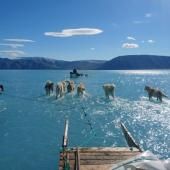 Réchauffement climatique : une nouvelle saison en enfer au Groenland 