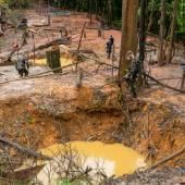  L’orpaillage clandestin : des « trous dans la forêt » guyanaise