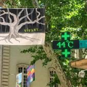 44,3 °C ! Le record absolu de chaleur en France a été battu à Carpentras 