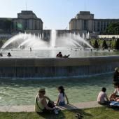 Canicule : la France suffoque, les températures au maximum ce jeudi 