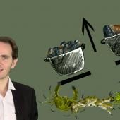 Voir la vidéo de Sir John Krebs | Le "meilleur rapport qualité prix" chez les animaux