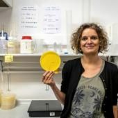 Audrey Dussutour, chercheuse-vedette sur le blob, au service de la science fondamentale 