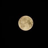 “On the moon again”: offrez-vous la Lune !