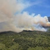 Forêts : l’Afrique brûle aussi, mais pas comme l’Amazonie 