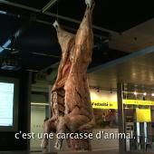 Voir la vidéo de Gare à la « mal-viande » !