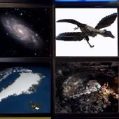 Voir la vidéo de Archéoptéryx vole !