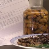 Voir la vidéo de Les insectes passent à table