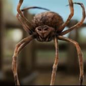 Voir la vidéo de Les araignées au cinéma