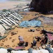 Des empreintes de pas de néandertaliens sur une plage normande