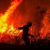 Craintes pour le climat en Indonésie : les feux reprennent de la vigueur