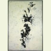 See video of Pollock and vertebrae