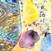 See video of Kandinski and mitochondria
