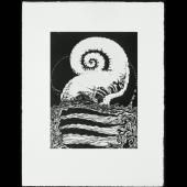 See video of Kupka and lysosome