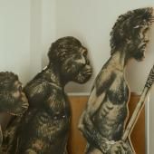 Voir la vidéo de La postérité de Charles Darwin