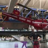 Voir la vidéo de Une Alouette se pose à la Cité