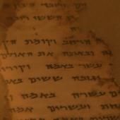 Voir la vidéo de Les manuscrits de Qumrân